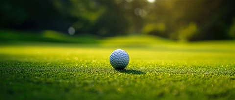 Golf ball on grass