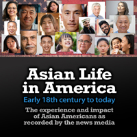 Asian Life In America