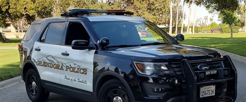 Police car staged near a City park. 